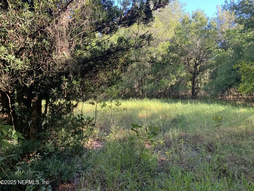 000 Baden Powell Road Hawthorne FL 32140