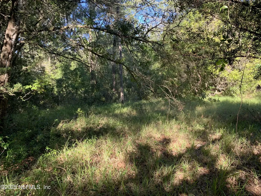 000 Baden Powell Road Hawthorne FL 32140