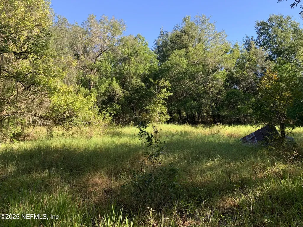 000 Baden Powell Road Hawthorne FL 32140