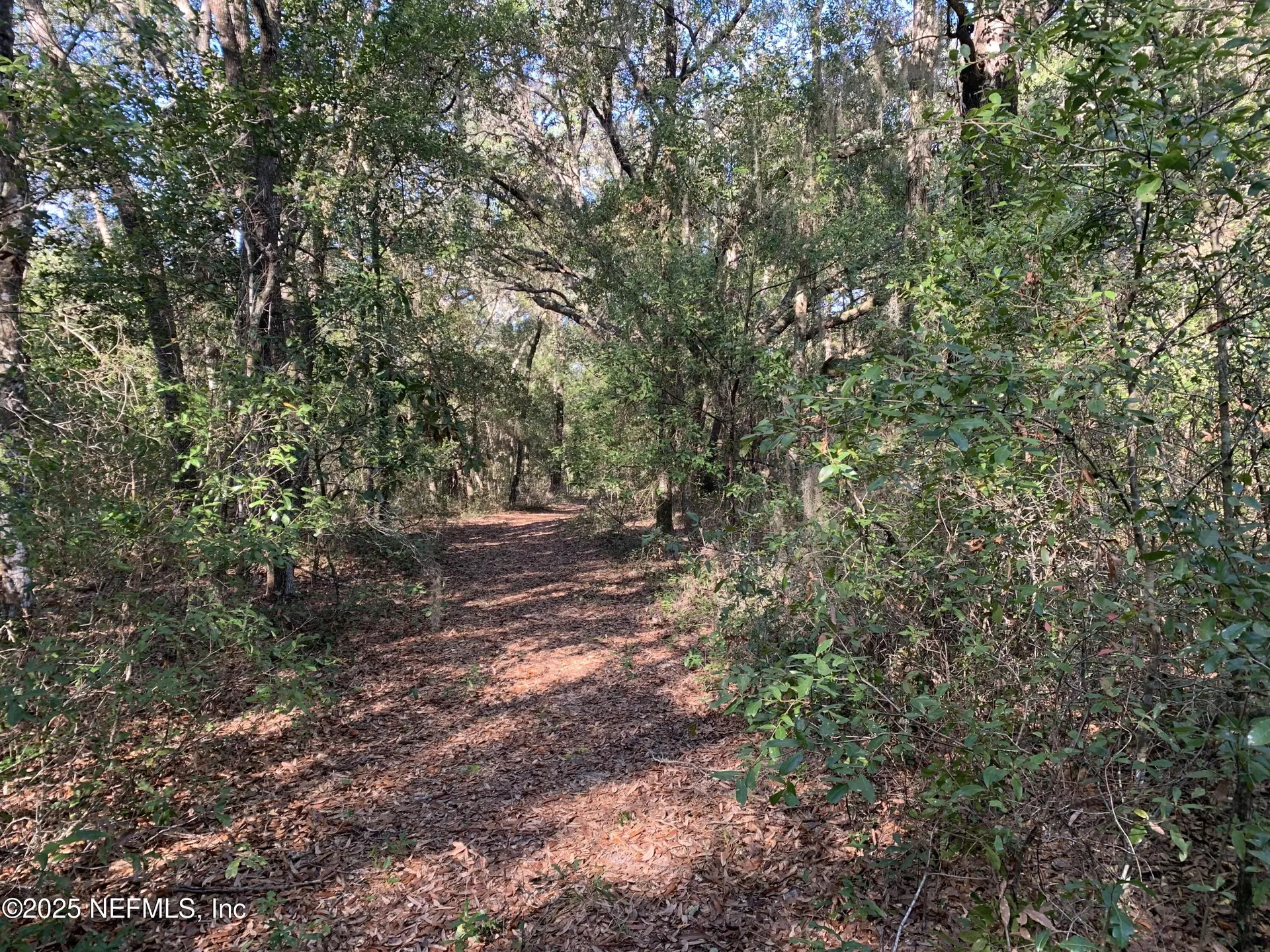000 Baden Powell Road Hawthorne FL 32140