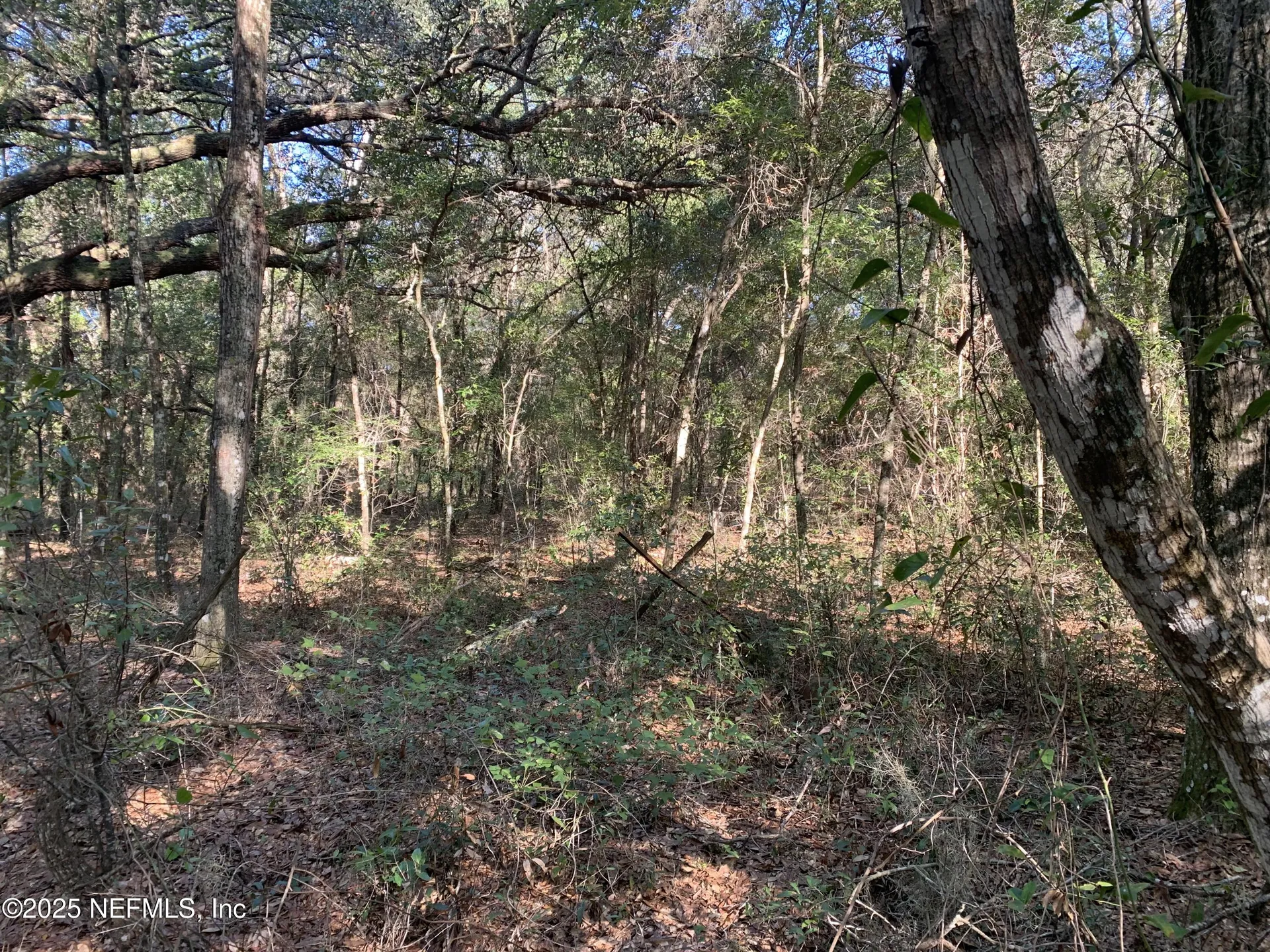 000 Baden Powell Road Hawthorne FL 32140