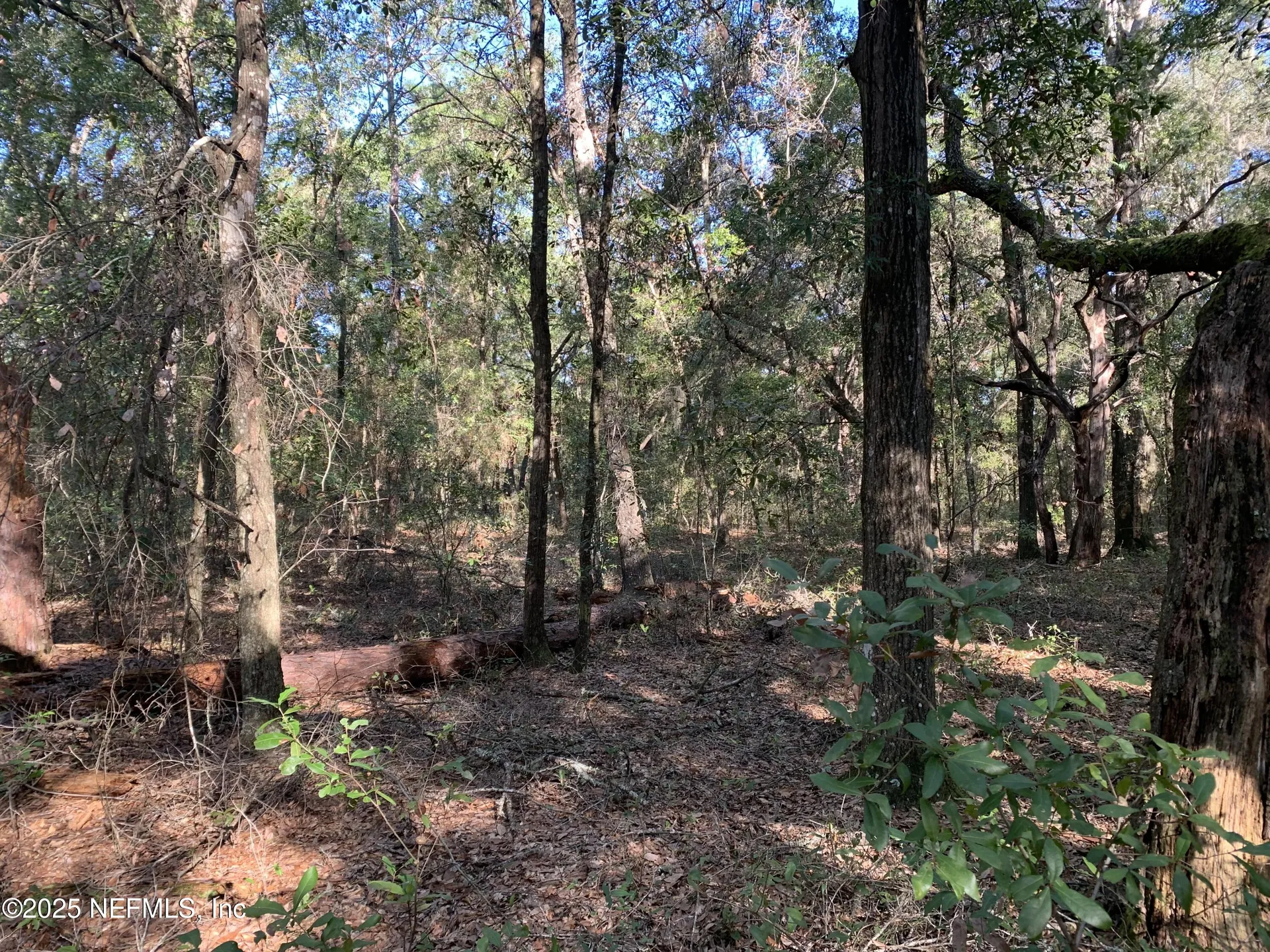000 Baden Powell Road Hawthorne FL 32140