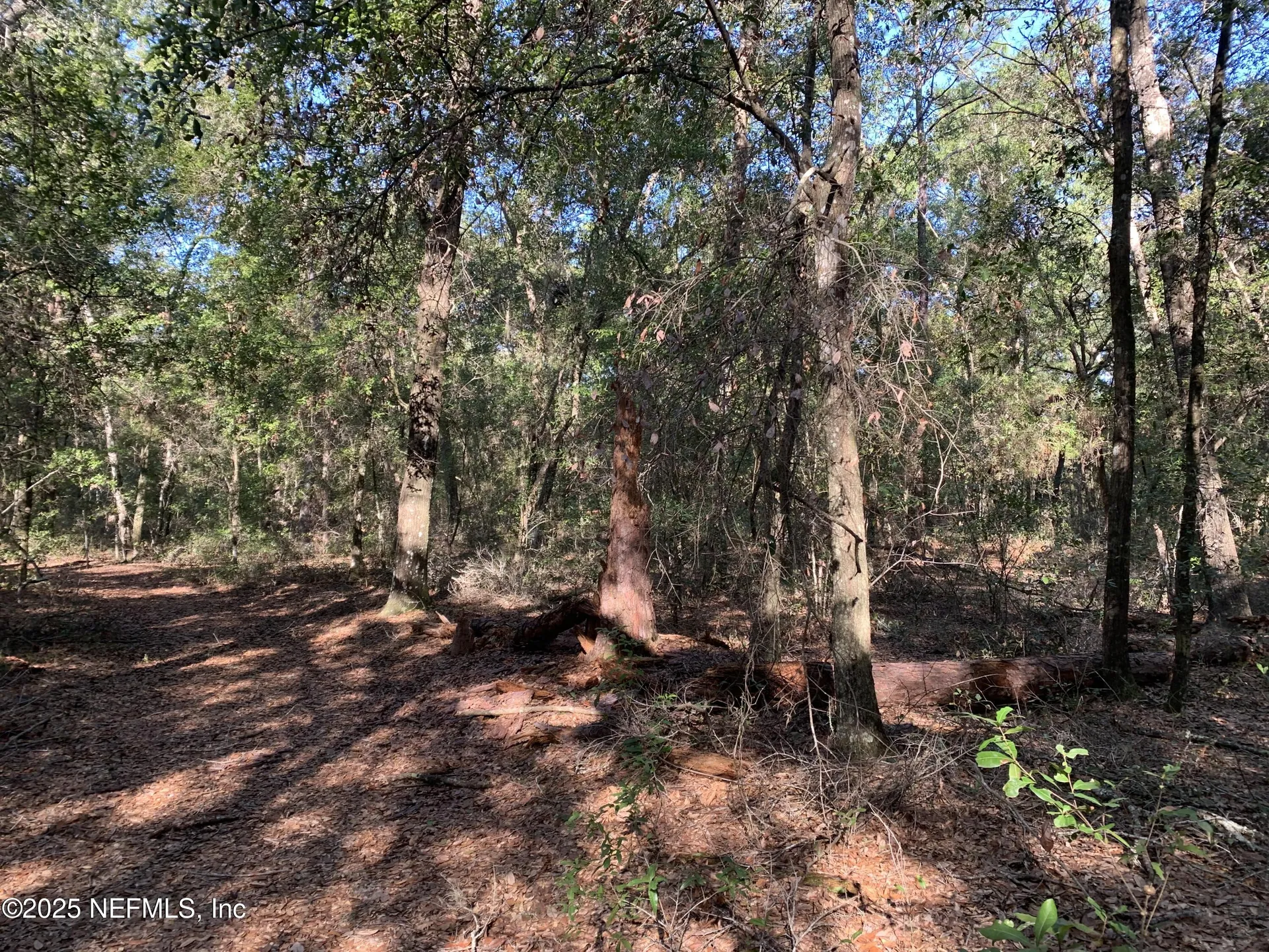 000 Baden Powell Road Hawthorne FL 32140