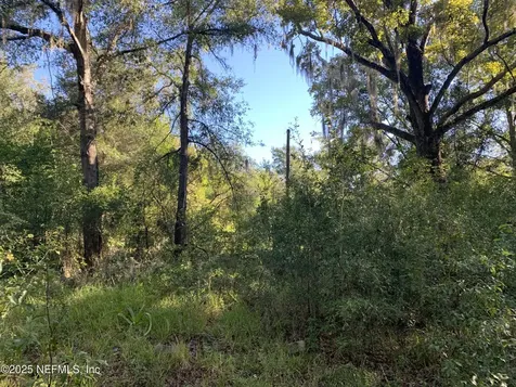 000 Baden Powell Road Hawthorne FL 32140