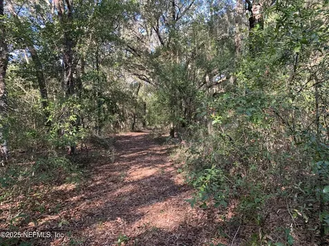 000 Baden Powell Road Hawthorne FL 32140