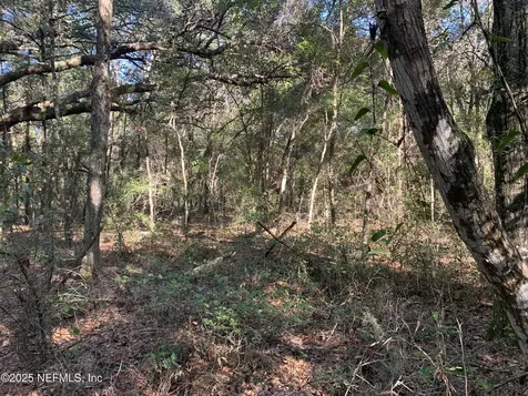 000 Baden Powell Road Hawthorne FL 32140