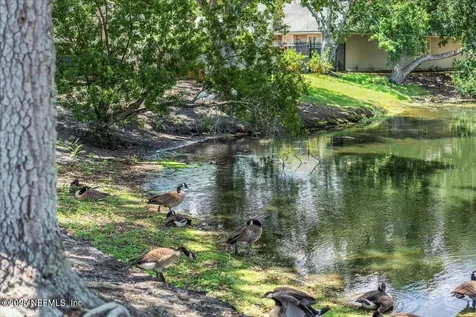 4462 Carriage Crossing Drive Jacksonville FL 32258