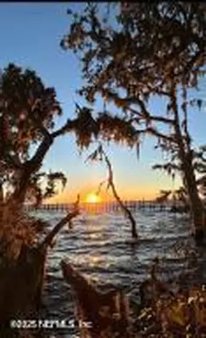 339 Oak Moss Drive St. Johns FL 32259