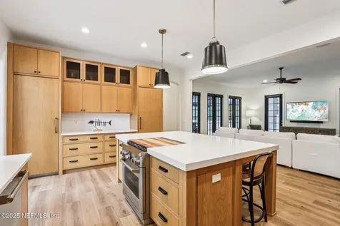 1584 Sandy Springs Drive Fleming Island FL 32003