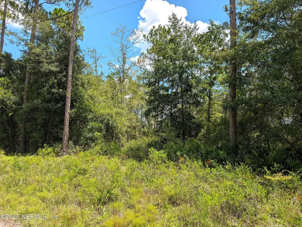 0 SE 48th Lane Starke FL 32091