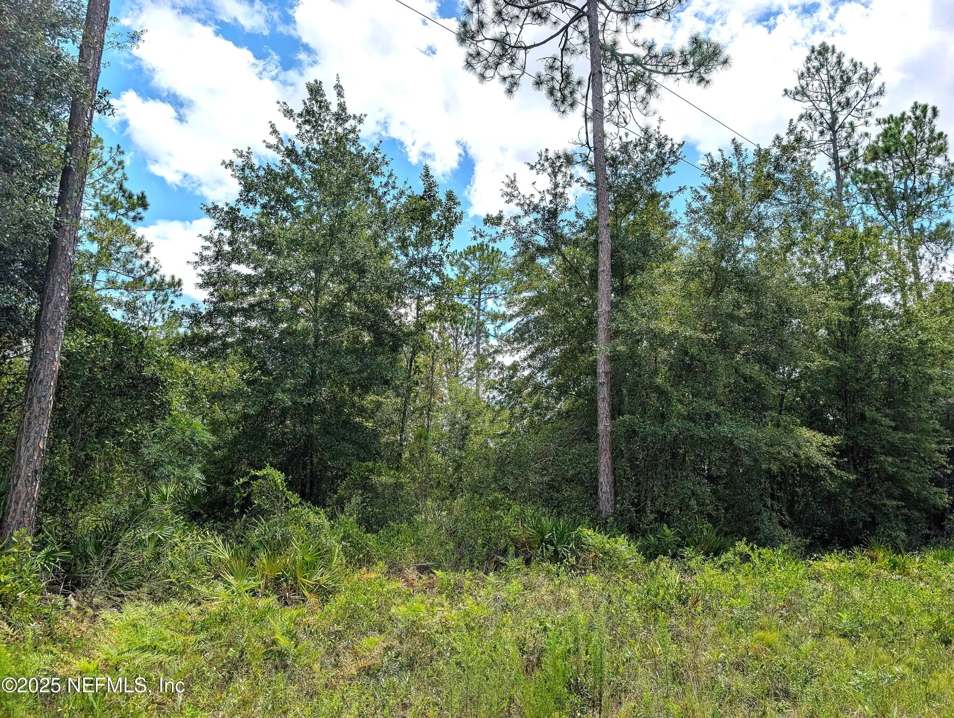 0 SE 48th Lane Starke FL 32091