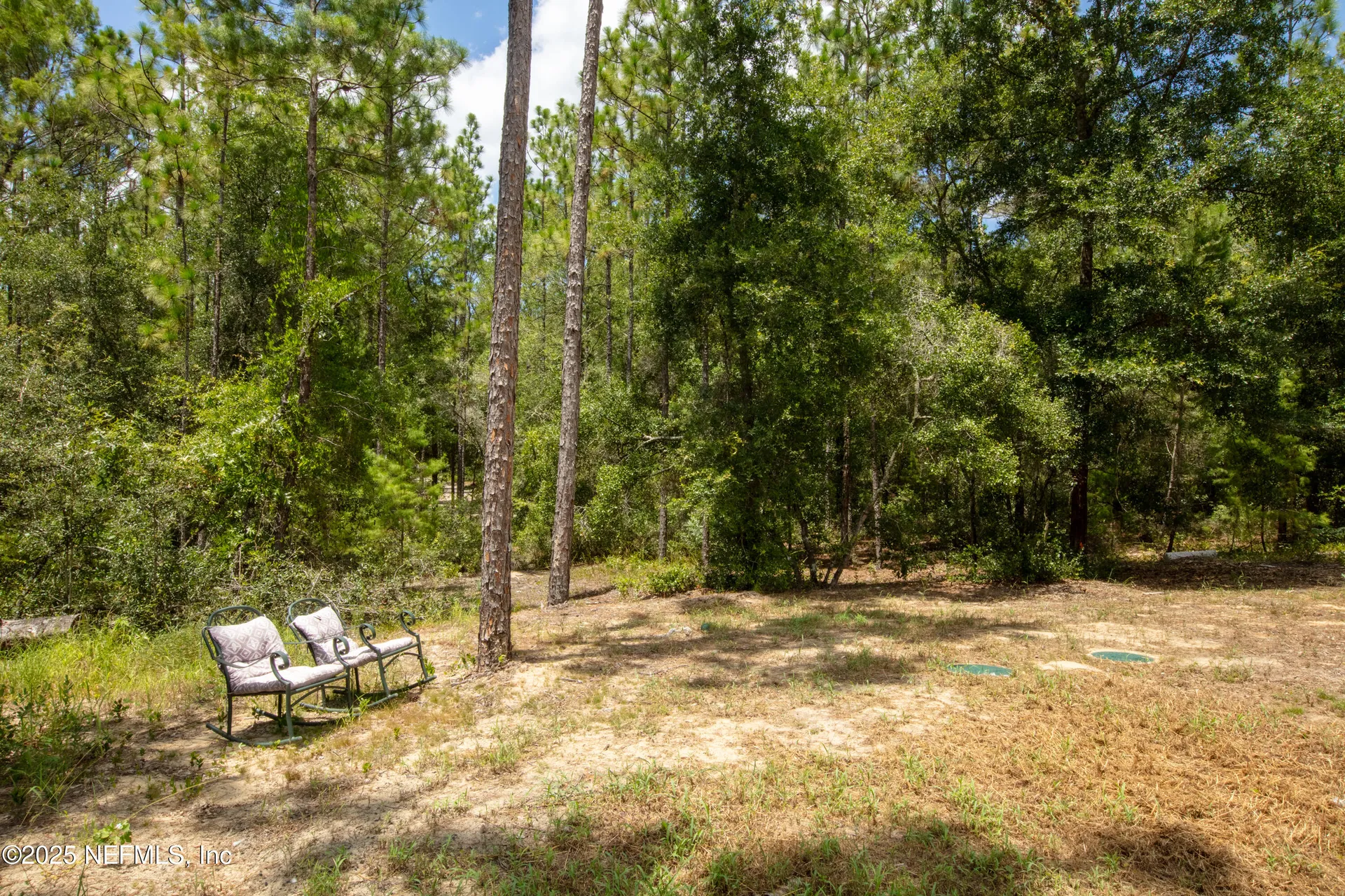 121 Kenny Lane Florahome FL 32140