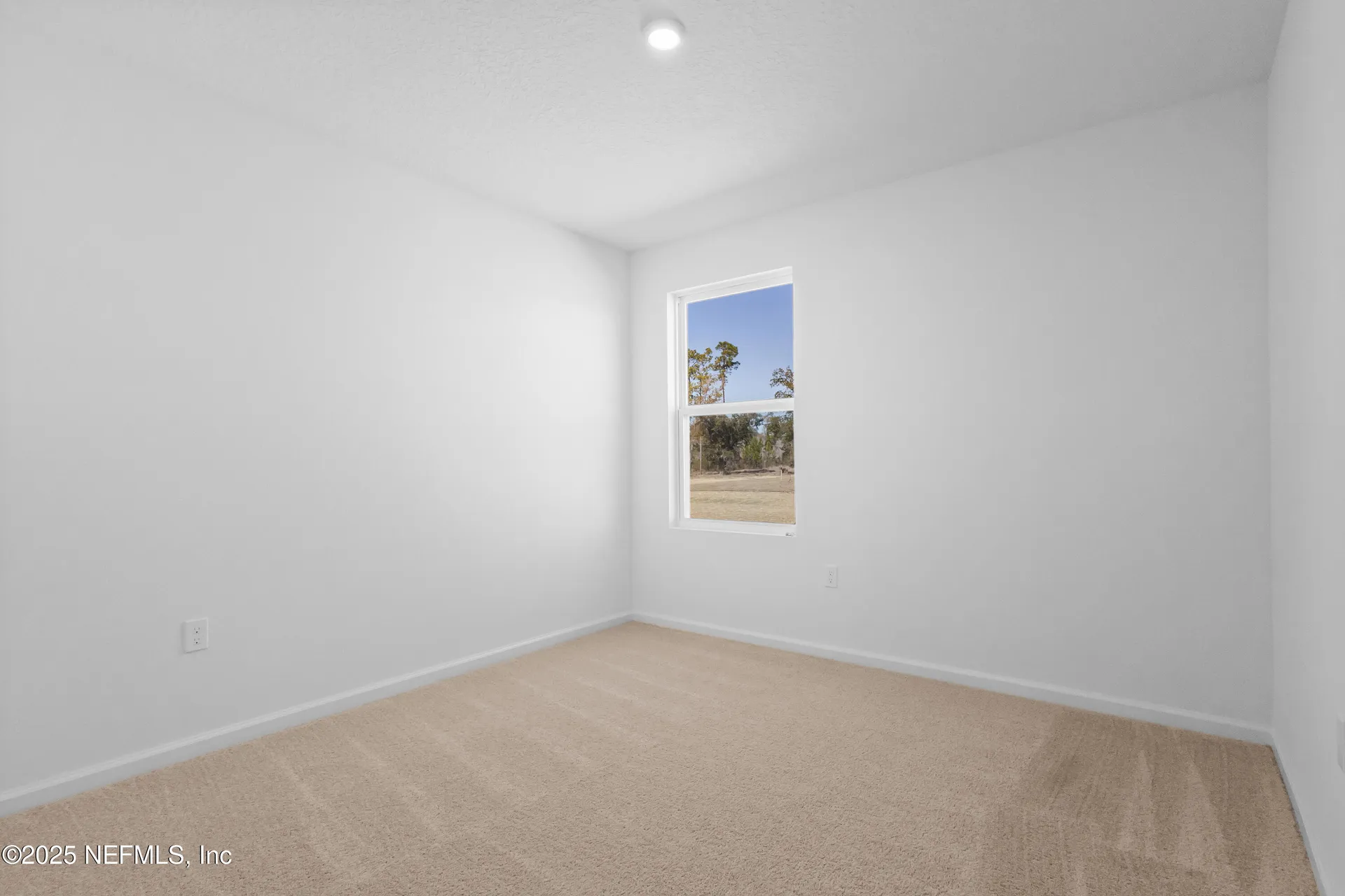 10333 Greystone Drive Glen St. Mary FL 32040