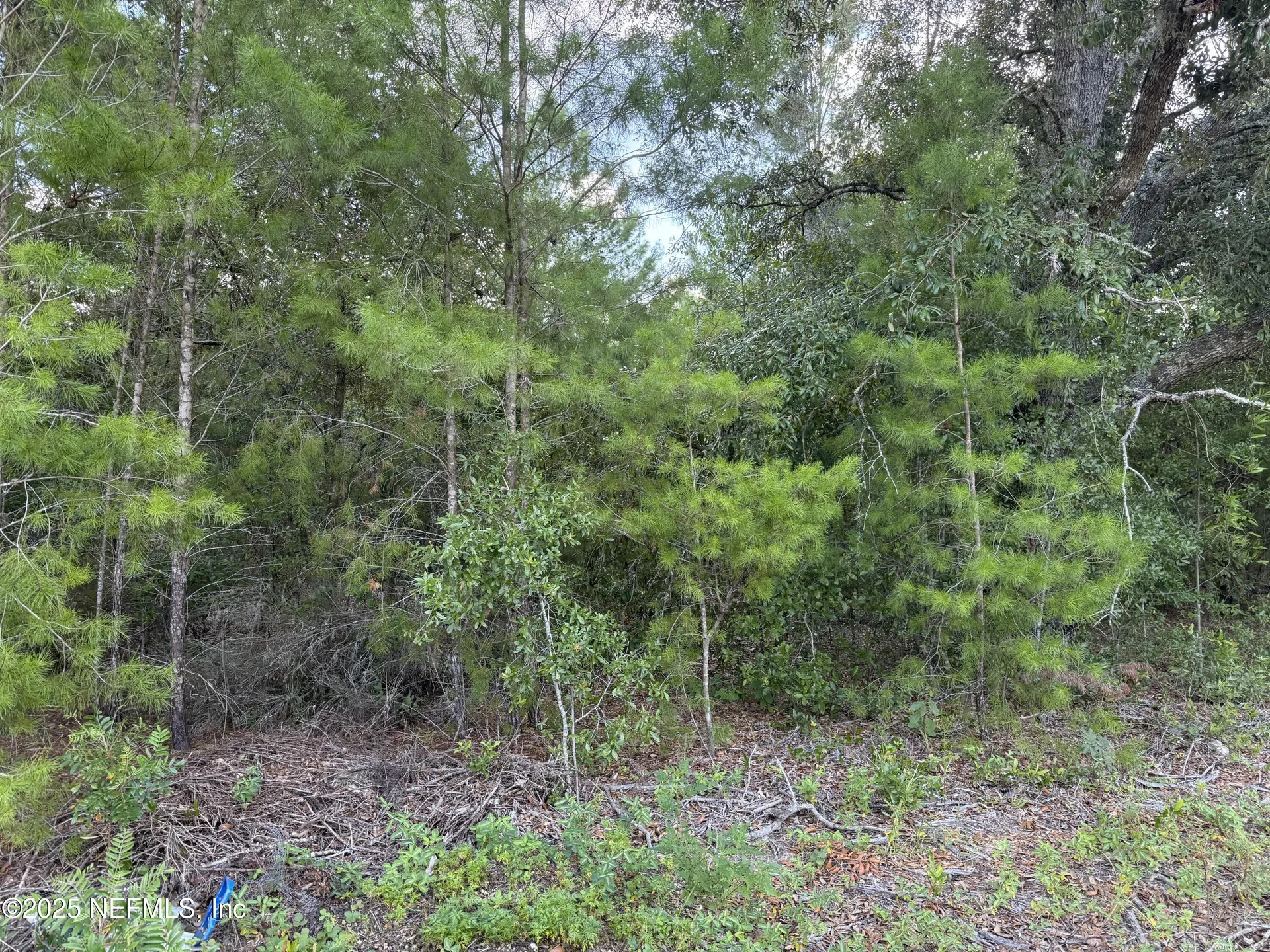 312 New Jersey Avenue Hawthorne FL 32640