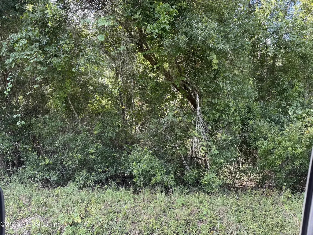 314 New Jersey Avenue Hawthorne FL 32640