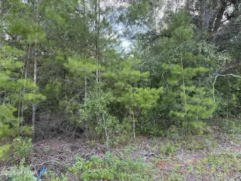 314 New Jersey Avenue Hawthorne FL 32640