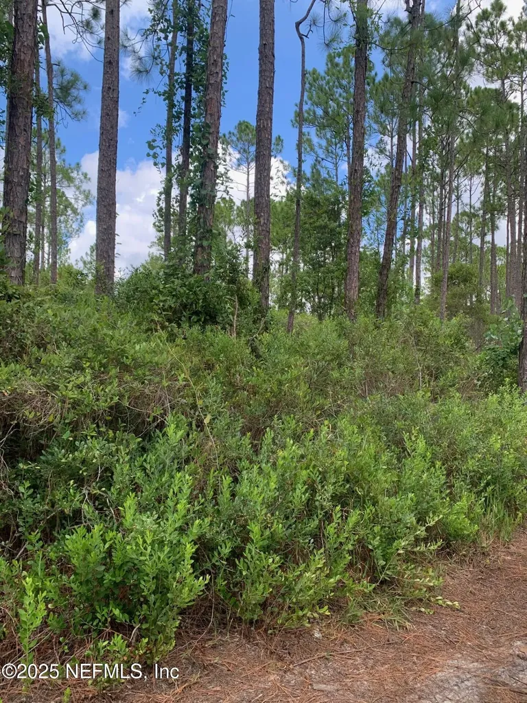122 E Marion Street Palatka FL 32177