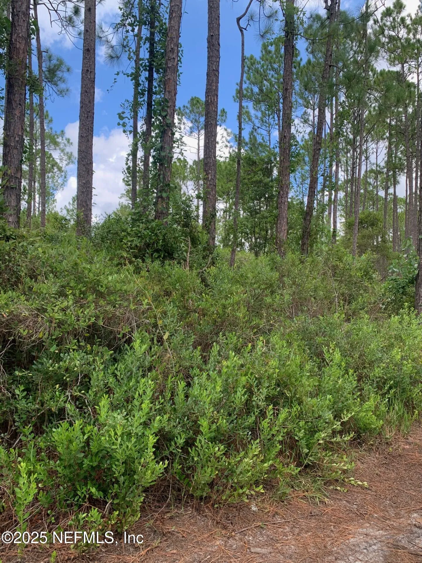 122 E Marion Street Palatka FL 32177