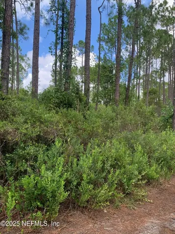 122 E Marion Street Palatka FL 32177
