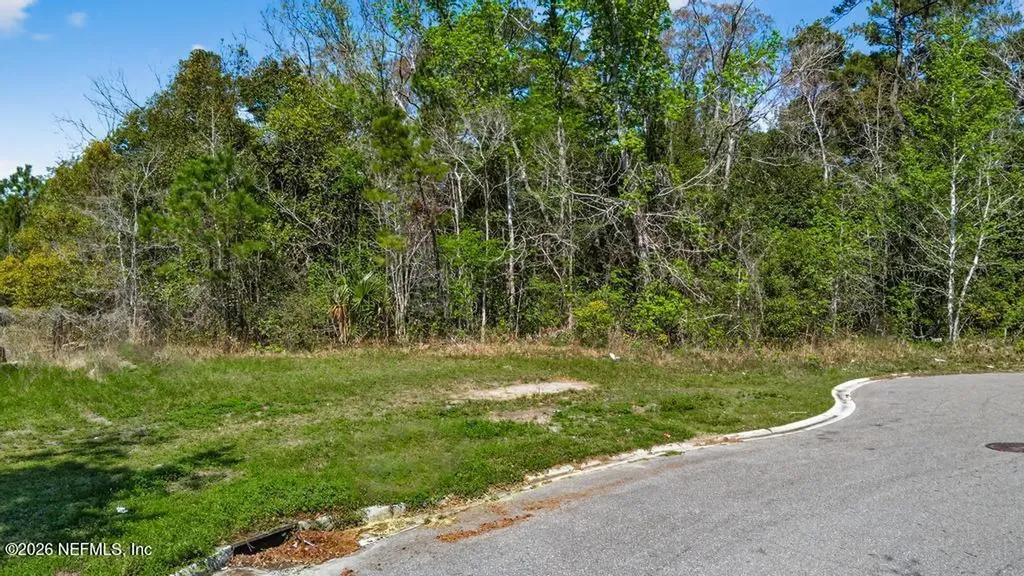 0 Detaille Drive Jacksonville FL 32209