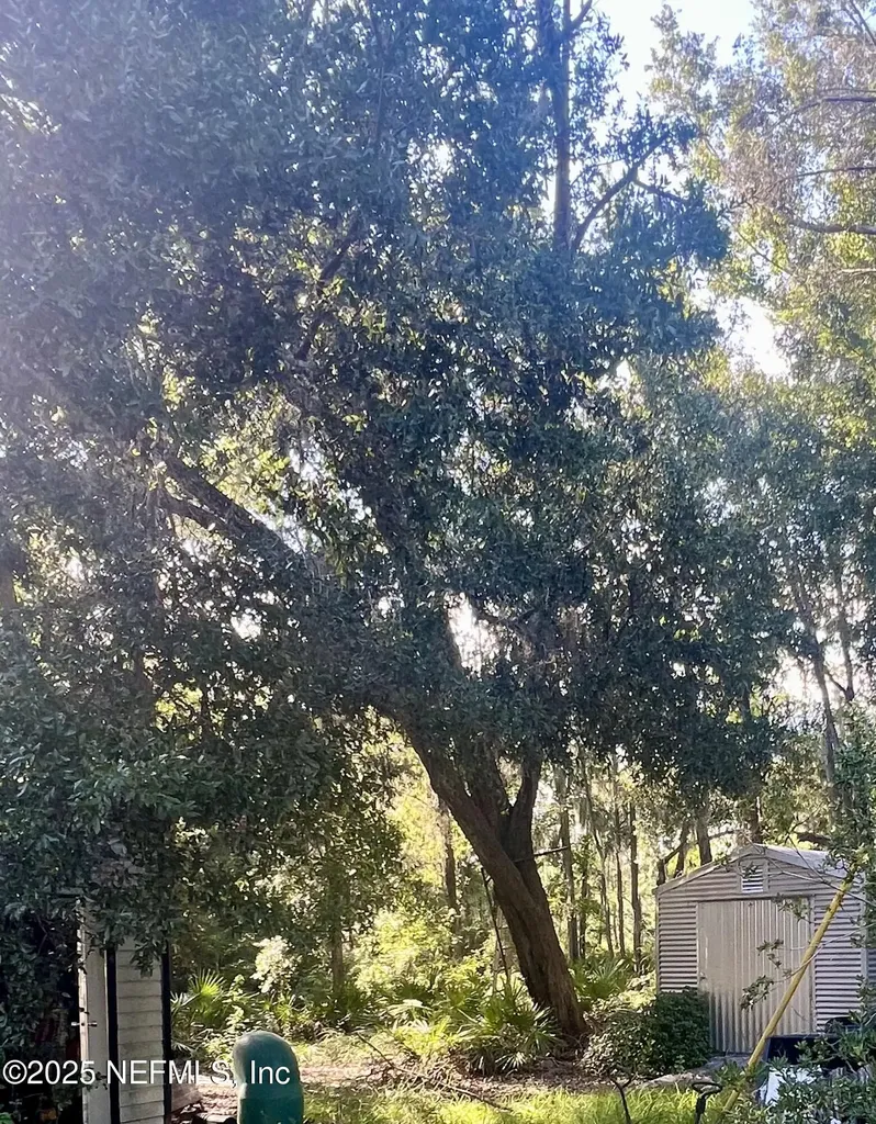 23720 NW 241 County Road NW Alachua FL 32615