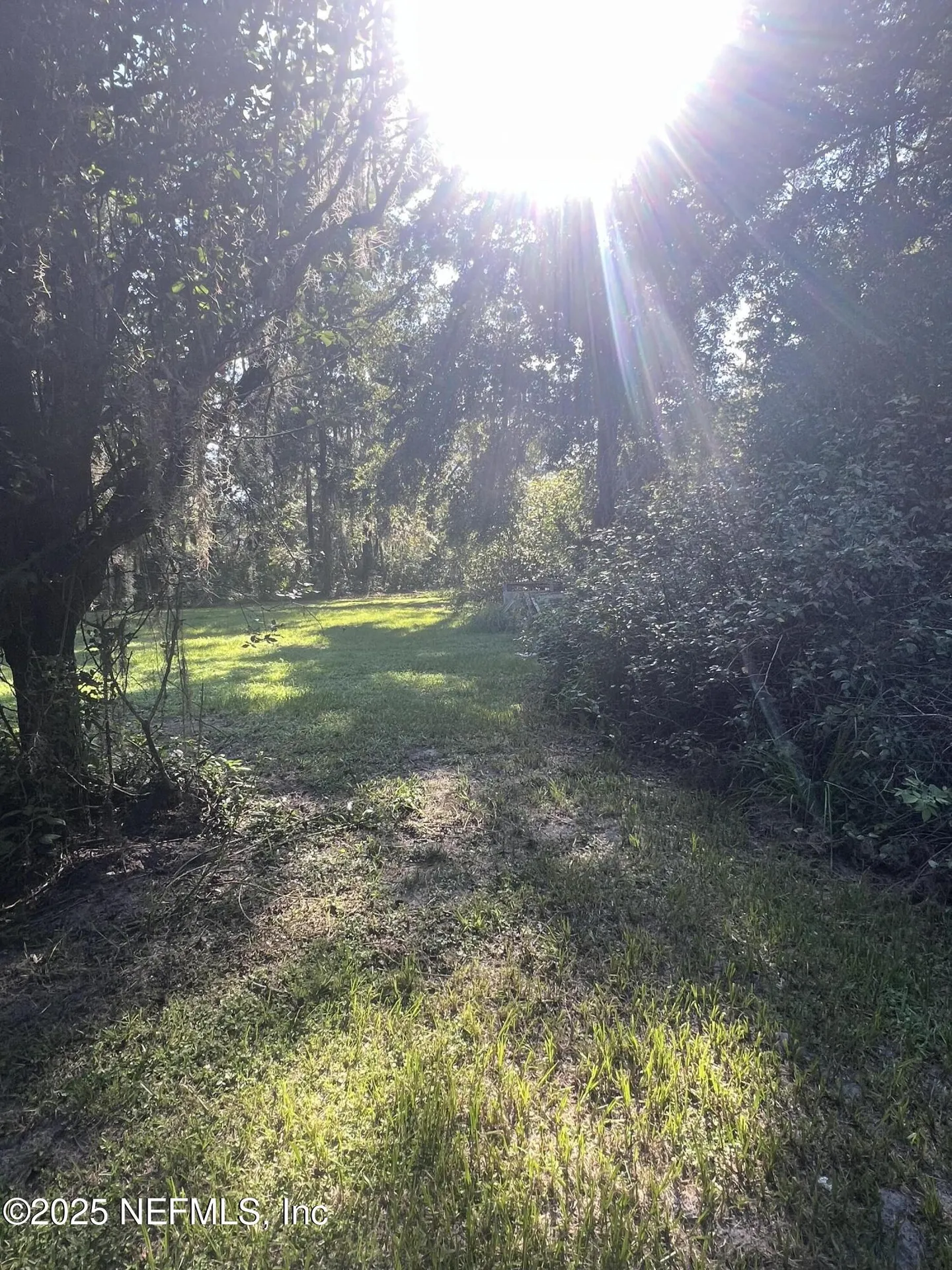 23720 NW 241 County Road NW Alachua FL 32615