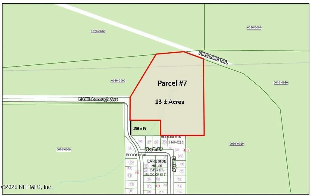 Parcel 7 E Hillsborough Avenue Florahome FL 32140