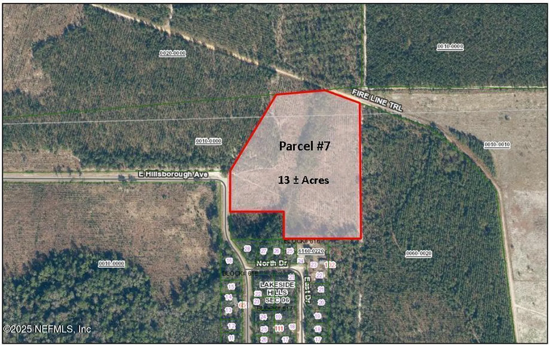 Parcel 7 E Hillsborough Avenue Florahome FL 32140