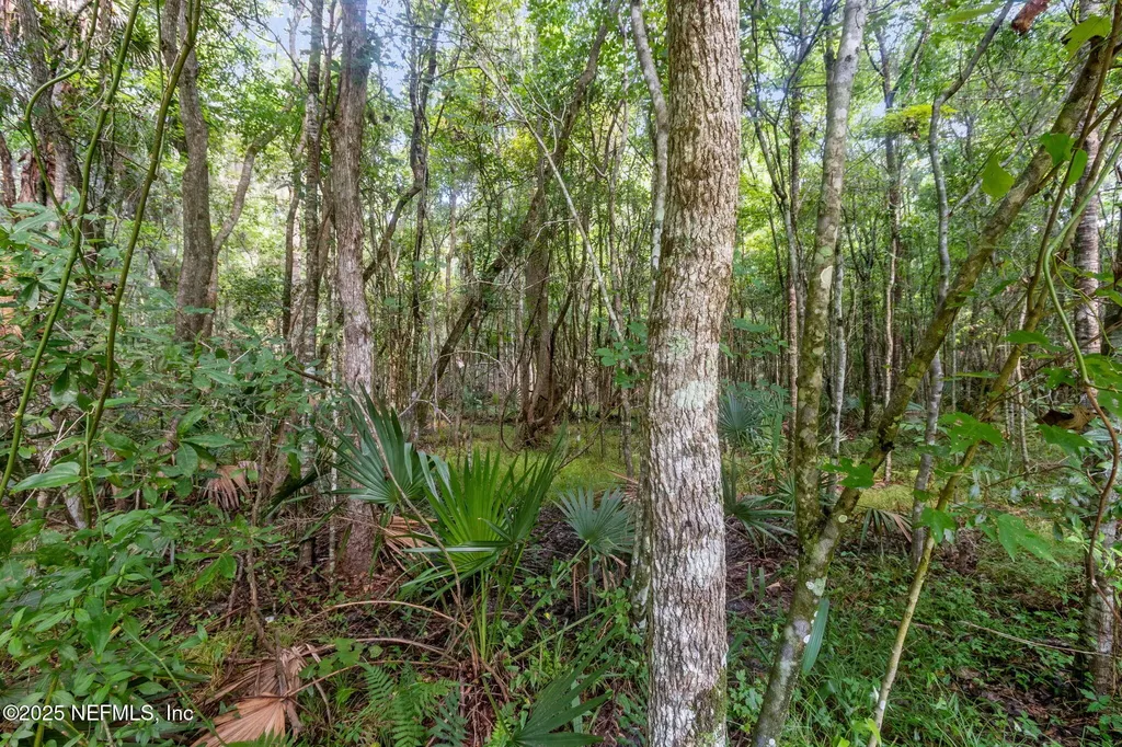 8416 Thornbush Court Jacksonville FL 32216