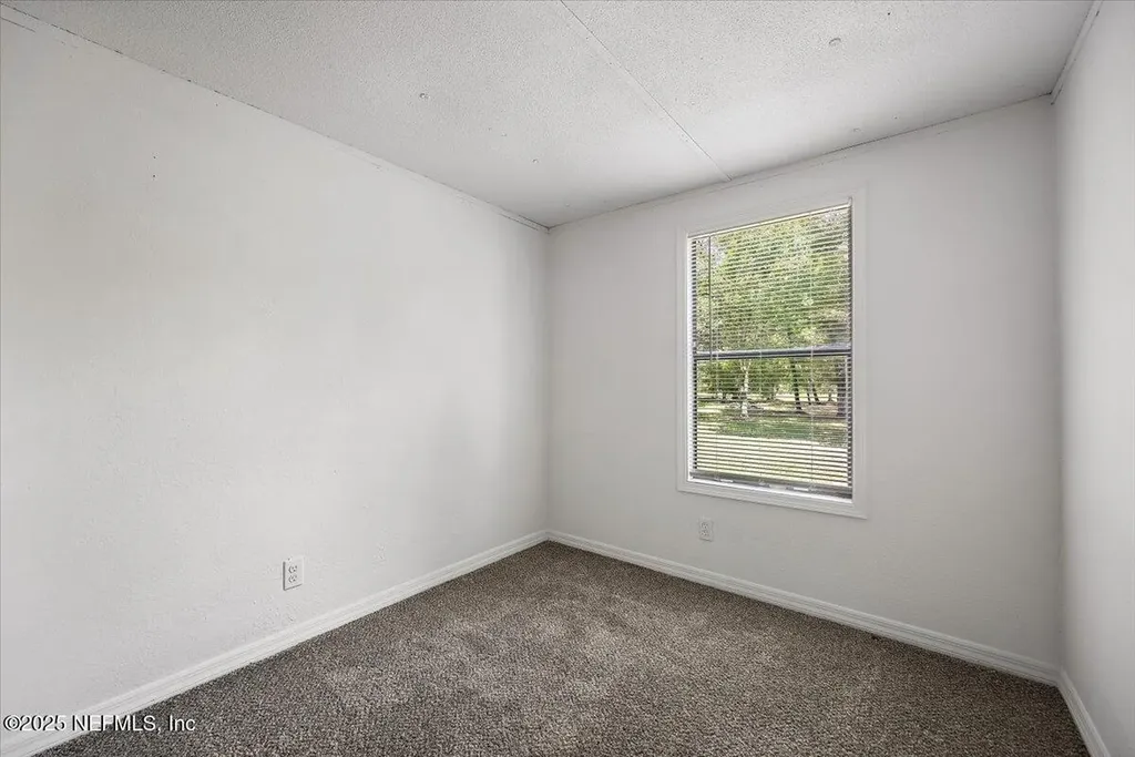 10145 Flikkema Avenue Hastings FL 32145