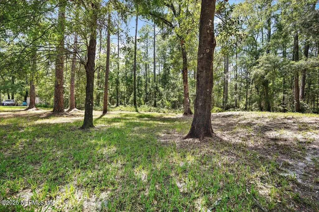 10145 Flikkema Avenue Hastings FL 32145