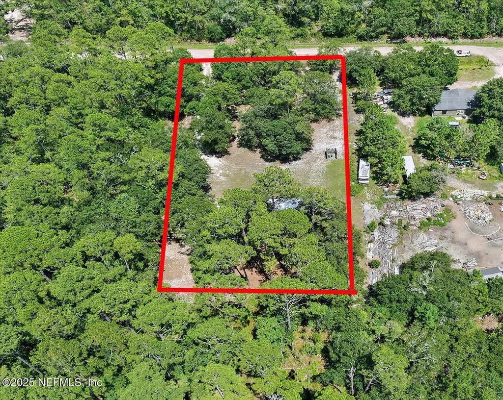 10145 Flikkema Avenue Hastings FL 32145