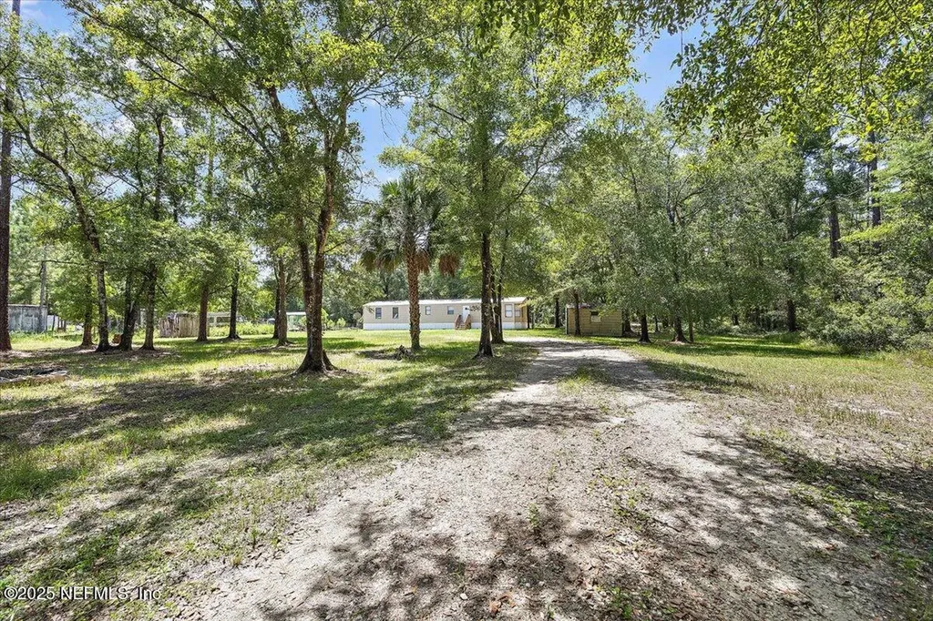 10145 Flikkema Avenue Hastings FL 32145