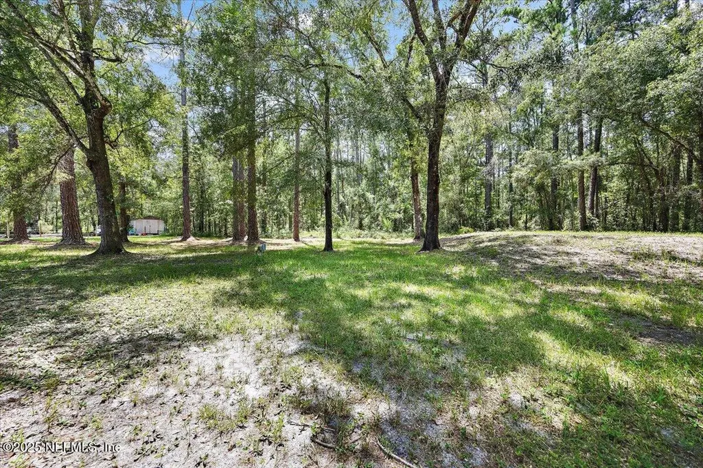 10145 Flikkema Avenue Hastings FL 32145