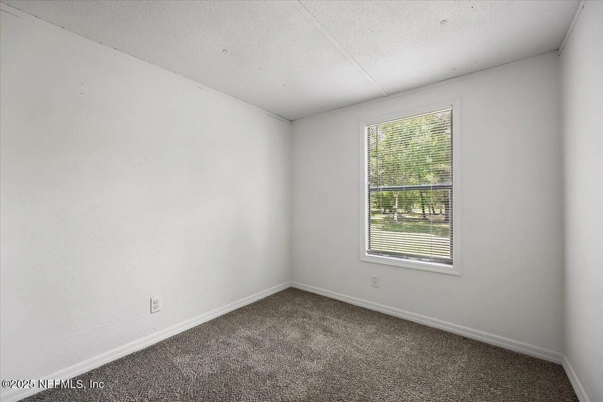 10145 Flikkema Avenue Hastings FL 32145