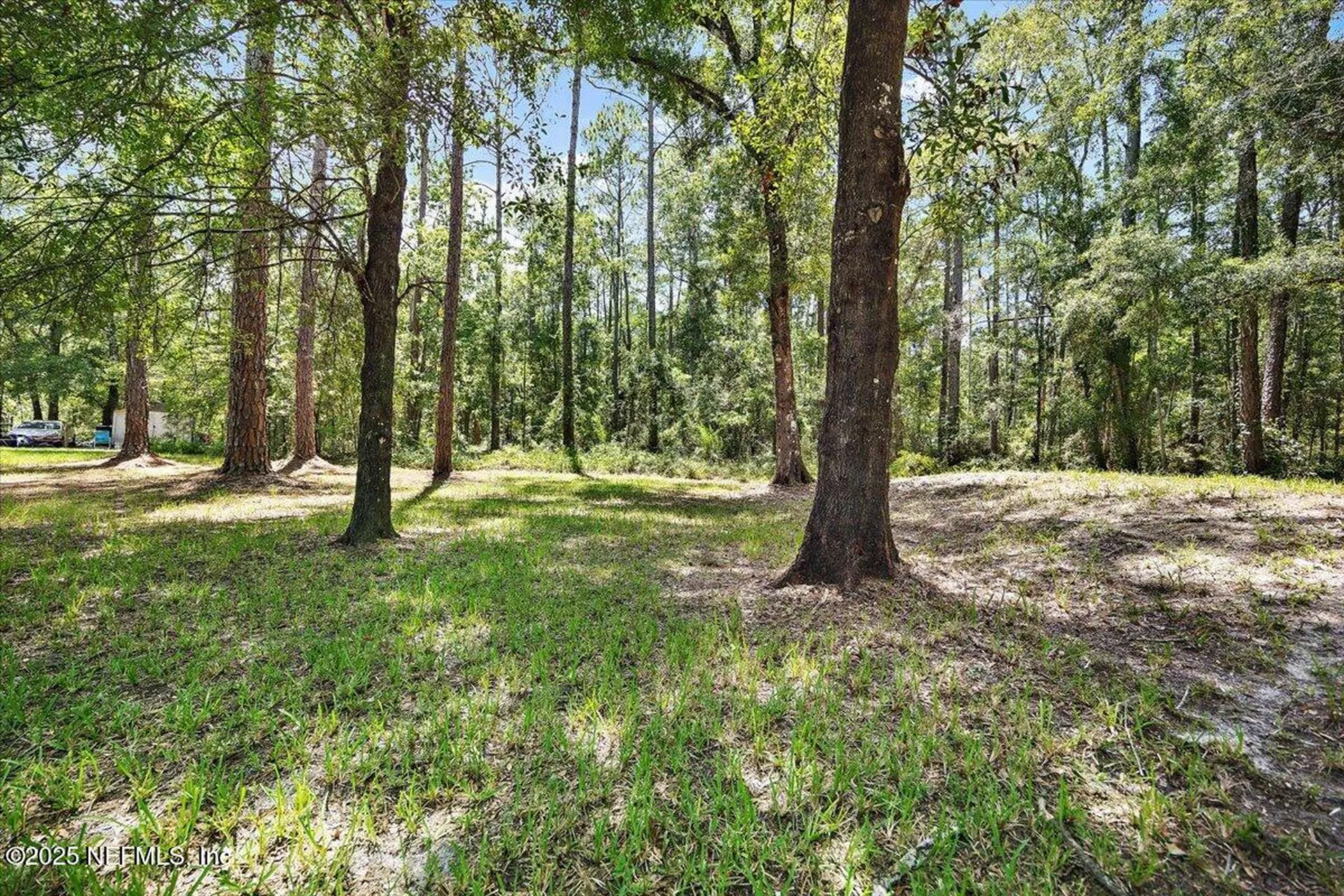 10145 Flikkema Avenue Hastings FL 32145