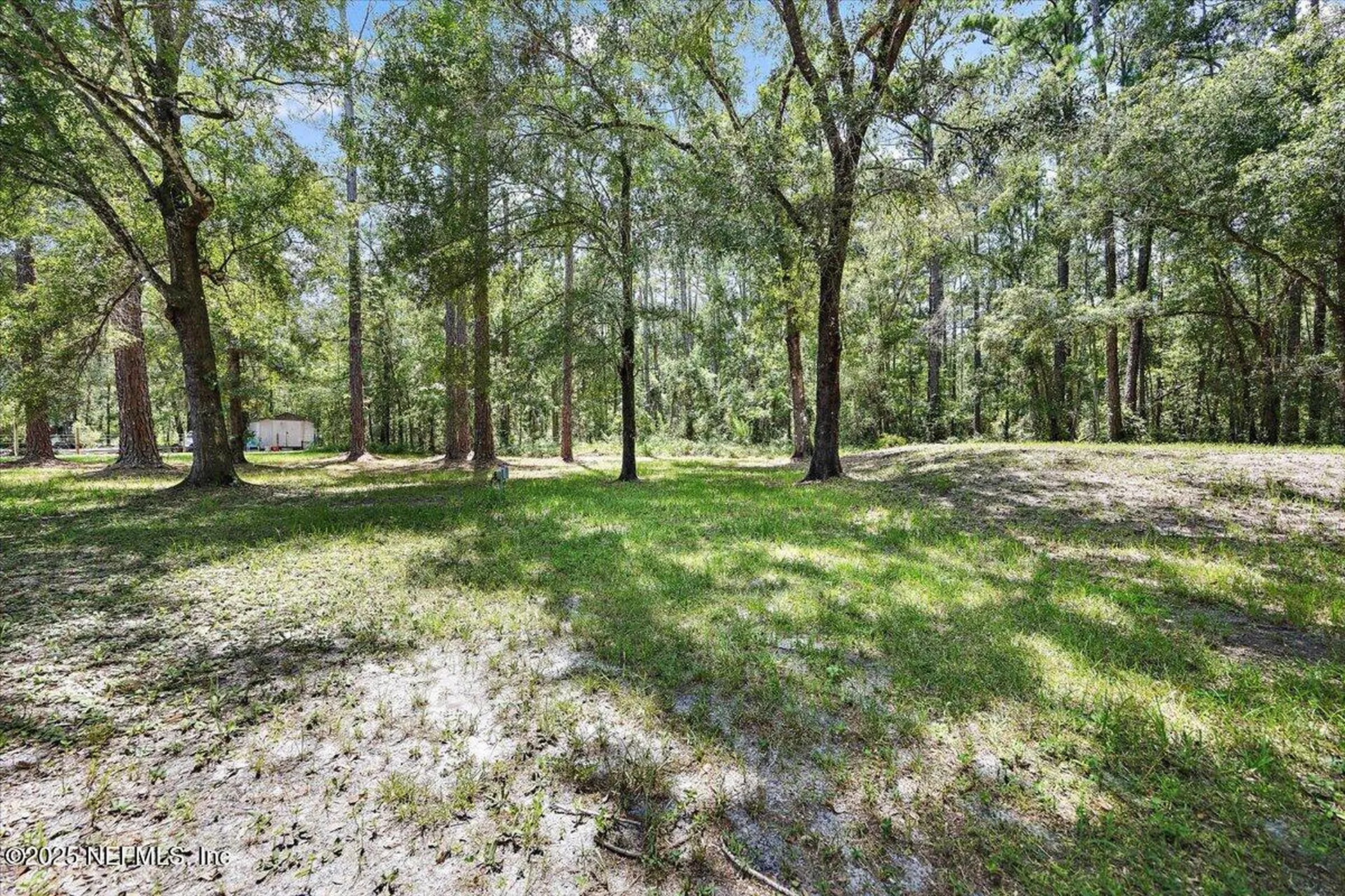 10145 Flikkema Avenue Hastings FL 32145