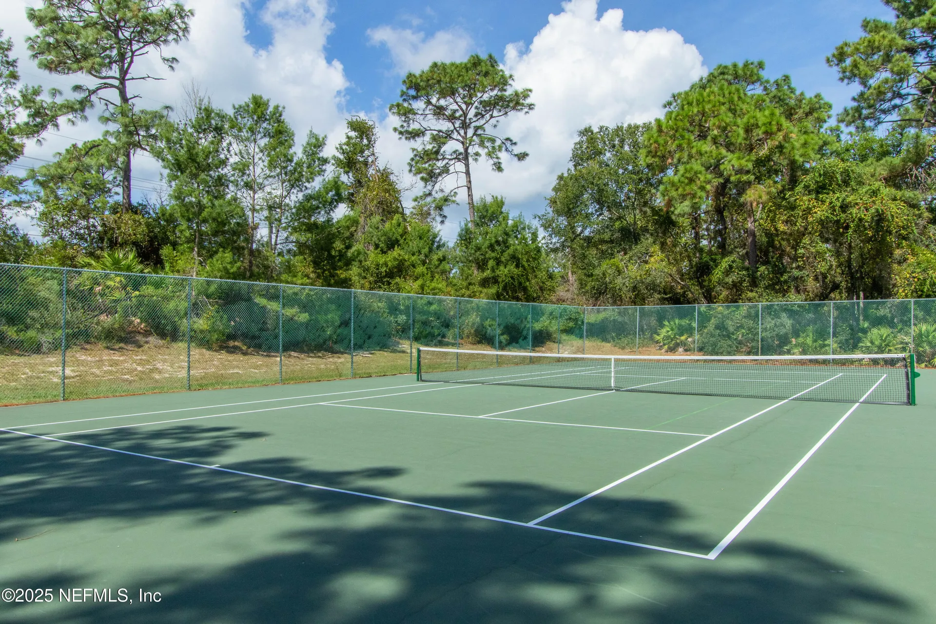 301 Graciela Circle St. Augustine FL 32086