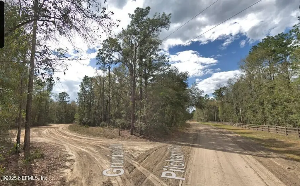 0 Pilchard Road Florahome FL 32140