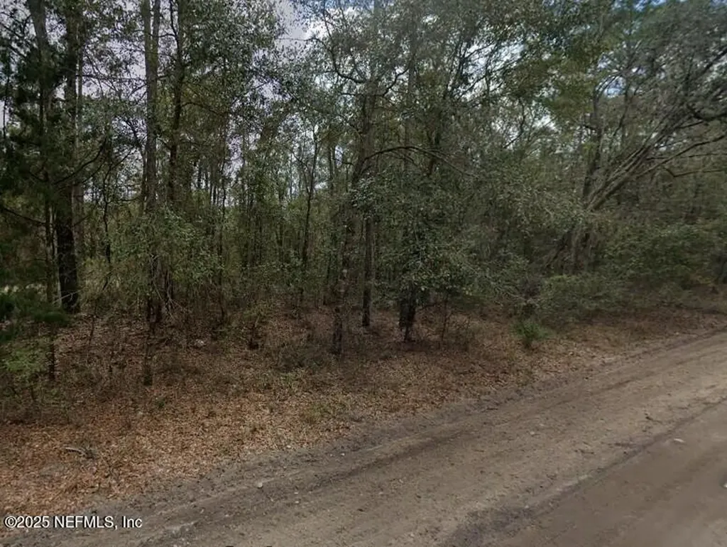 0 Pilchard Road Florahome FL 32140