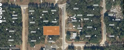 0 Webster Street Interlachen FL 32148