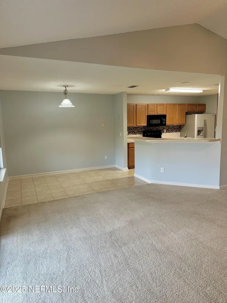 1715 Saw Lake Drive Middleburg FL 32068