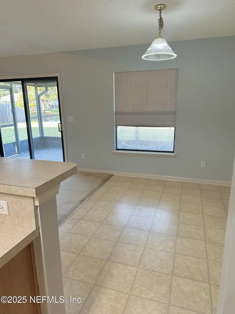 1715 Saw Lake Drive Middleburg FL 32068