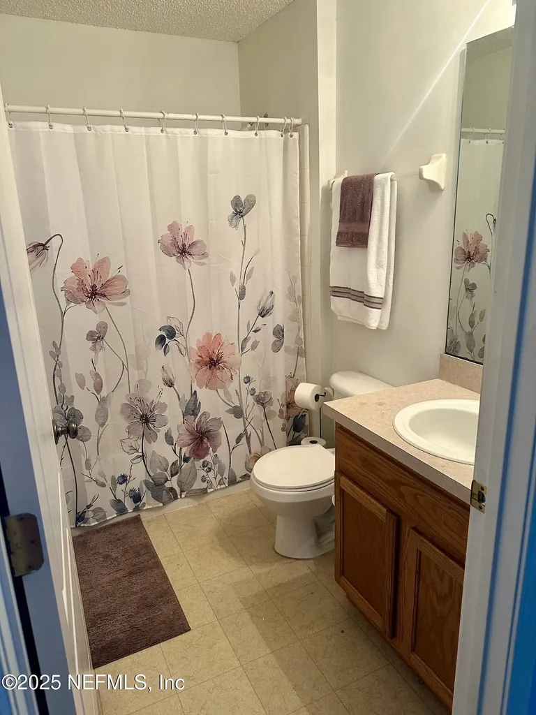 1715 Saw Lake Drive Middleburg FL 32068