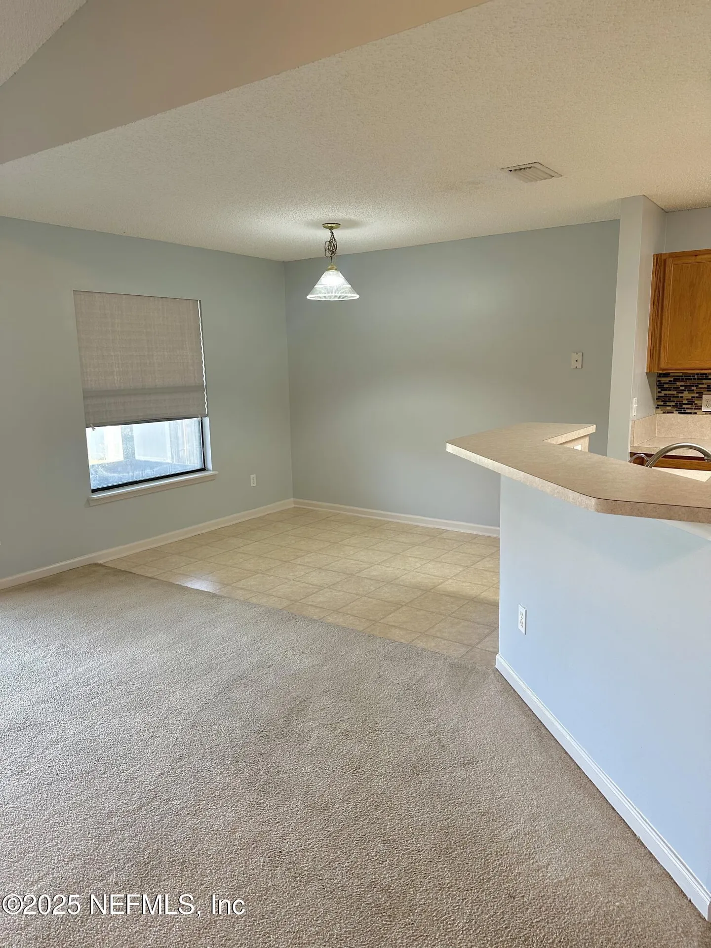 1715 Saw Lake Drive Middleburg FL 32068