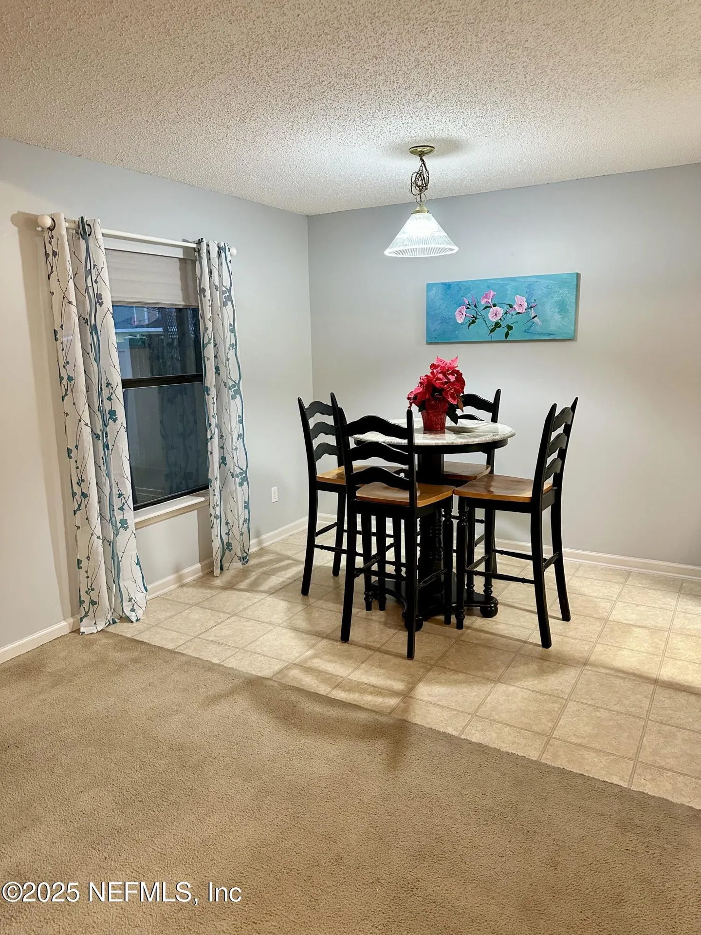 1715 Saw Lake Drive Middleburg FL 32068