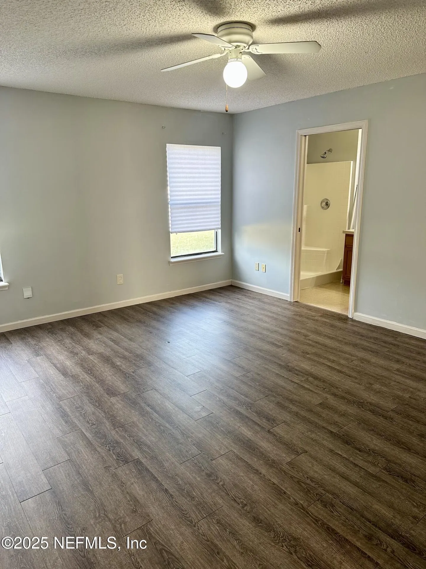 1715 Saw Lake Drive Middleburg FL 32068