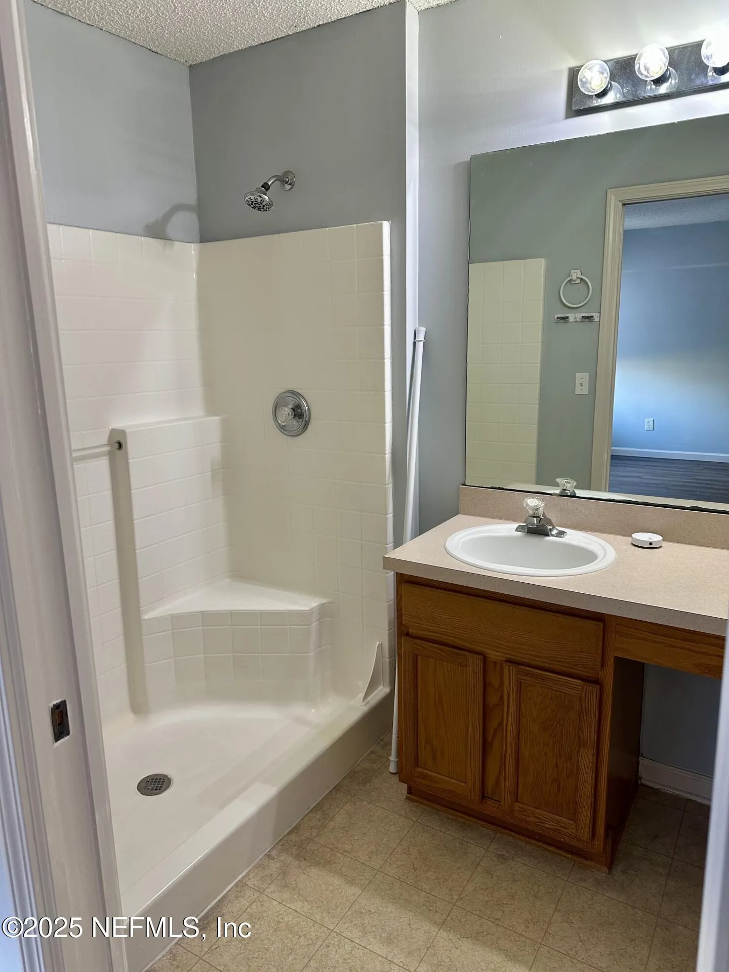 1715 Saw Lake Drive Middleburg FL 32068