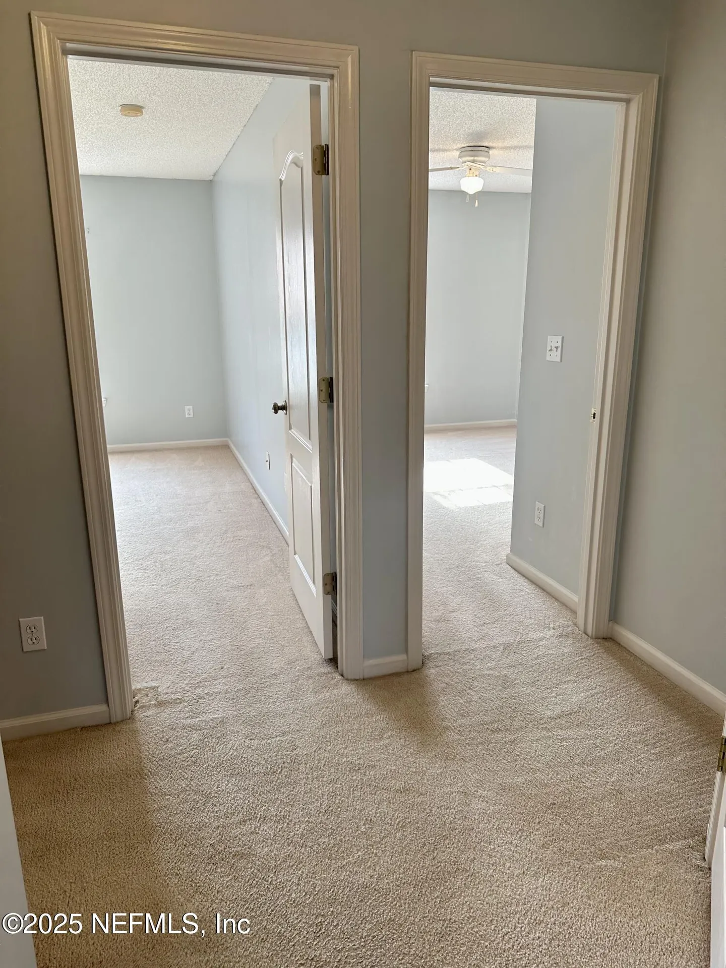1715 Saw Lake Drive Middleburg FL 32068