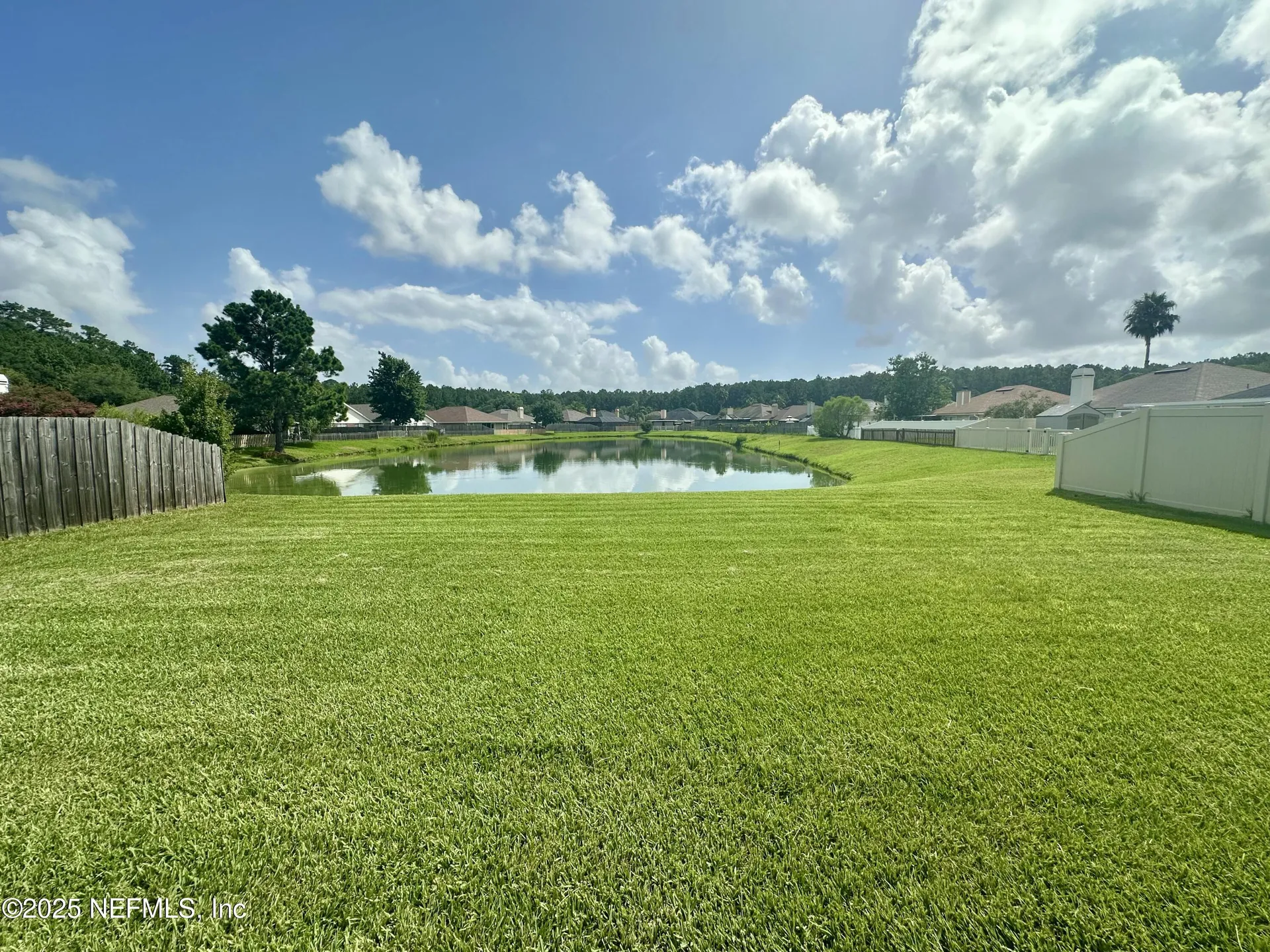 1715 Saw Lake Drive Middleburg FL 32068
